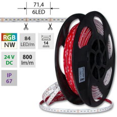 LED pásek SMD5050 RGB + NW, 84LED/m, 15W/m, DC24V, 800lm/m, IP67, 14mm, 5m