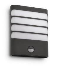 Nástěnné svítidlo Raccoon IR antracite 1x3W PHILIPS 172749316
