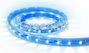 LED pásek LED STRIP IP65 BL 5m GREENLUX GXLS014