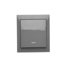 Spínač jednopólový (přístroj s krytem),