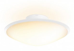 Hue Phoenix Svít. STROPNÍ LED 31W 3155lm