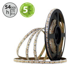 LED pásek SMD3528F 180LED/m 14,4W/m 1400lm/m IP20 DC24V 10mm 5m (ovoce)