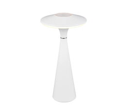 TORREZ incl.1x2W LED/200Lm/3000+4000+500
