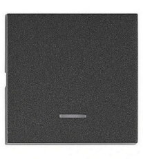 Kryt spínačů a ovladačů s průhledem, antracit SCHRACK EV112207--