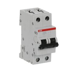 Jistič S202M-K63, 2F, 63A, char. K, 10kA, ABB 2CDS272001R0607