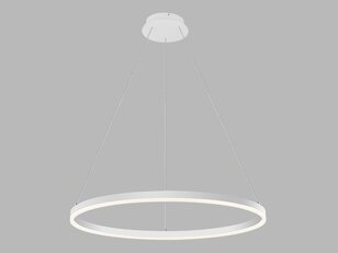 LED2 3271051D CIRCLE 80 P-Z, W DALI/PUSH