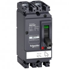 LV438699 NSX160F 125A 2P 36kA AC/DC