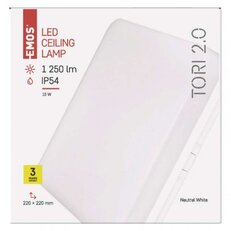 LED přisazené svítidlo TORI, čtvercové bílé 15W neutr. b., IP54 EMOS ZM4323