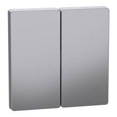 Kryt spínače, Merten D-Life, dvojitý, Stainless Steel    SCHNEIDER MTN3400-6036