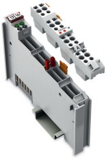 2kanálový reléový výstup AC 250V 2,0 A světle šedá WAGO 753-513