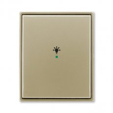 ABB Time Kryt 1násobný symbol osvětlení šampaňská 6220E-A01001 33