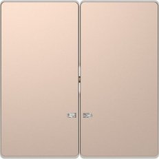 Kryt spínače Merten D-Life dvojitý s průzorem kov Brushed Gold MTN3420-6051