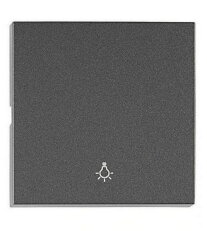 Kryt spínačů a ovladačů, symbol světlo, antracit SCHRACK EV112305--