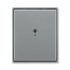 ABB Time Kryt 1násobný symbol osvětlení ocelová 6220E-A01001 36