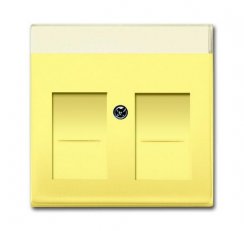 ABB 1710-0-3836 Kryt zásuvky komunikační, s krycími clonkami (pro 2 zásuvky)