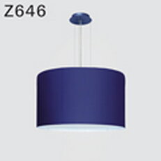 Závěsné svítidlo DEOS Z646cLCI.120/A3S3 LED PANEL 4000K, akryl
