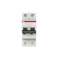 S202M-C40 2F jistič 40 A char. C 10kA ABB 2CDS272001R0404