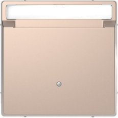 Kryt Merten D-Life pro spínač hotelových karet Brushed Gold MTN3854-6051