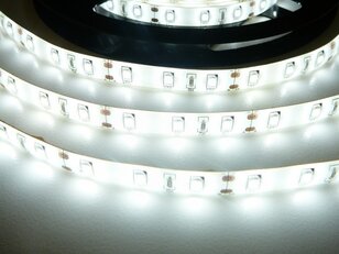 SB3-W300-CW zalitý pásek bílá T-LED 07706
