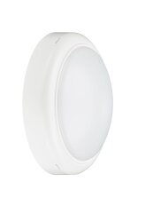 PILA Wall-mounted, 15 W, 1400 lm, 4000 K PILA 872110331586199