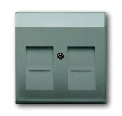 ABB Solo 1710-0-3856 Kryt zásuvky komunikační,s krycími clonkami (pro 2 zásuvky)