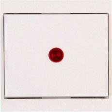 621667086 Control switch (off and change