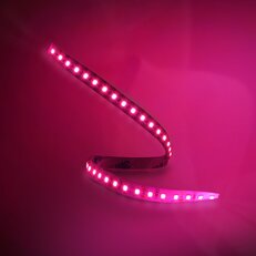 LED pásek ORO STRIP 600L 2835 NWD BRIGHT PINK LED-POL ORO09074