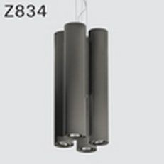 Závěsné svítidlo DEOS Z834cBII.408/B3 LED COIN111 2700K, 15/24