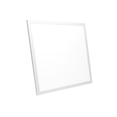 LED panel ORO VELA 60X60 40W DW III IP20 LED-POL ORO07044