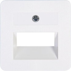 343213185 UAE cover plate for UAE connec