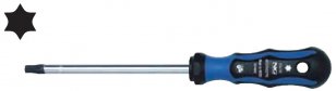 NG Elektro NS 40254225 Torxní šroubovák  TX, velikost - T25x100mm