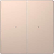 Centrální deska Merten D-Life dvojtlačítko Brushed Gold SCHNEIDER MTN5220-6051