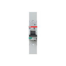 S801P-C80-R; 1 fázový jistič; jmenovitý