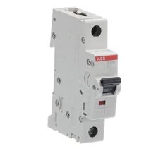 S201M-C2 1 fázový jistič 2 A char. C 10kA ABB 2CDS271001R0024