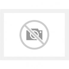 ZLS519 ABB 2CCA017429R0001