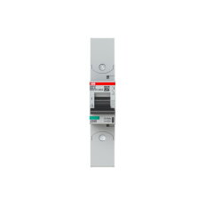 S801P-B80-R; 1 fázový jistič; jmenovitý