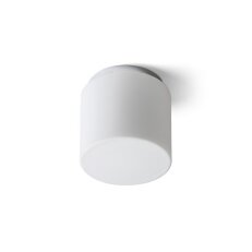 ARANA R 17 stropní opálové sklo/chrom 230V E27 15W IP44 RENDL R13682