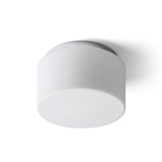 ARANA R 27 stropní opálové sklo/chrom 230V E27 20W IP44 RENDL R13683