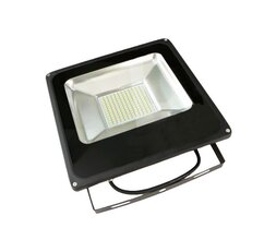 SMD 50W-CW reflektor studená bílá T-LED 10371