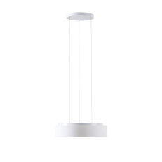 Závěsné LED svítidlo se skleněným stínidlem OSMONT ERIS LE3 24W IP40 3K bílá