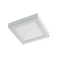 XFORM SQ. SURF. FITTING  22W 220-240V AC