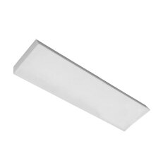 LAB4000 IP65 vestavné do rastru 600 obdélník C kryt opál LED 865 350mA