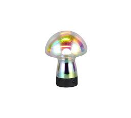 Svítidlo DOOLEY incl.1x1,5W LED/140Lm/30