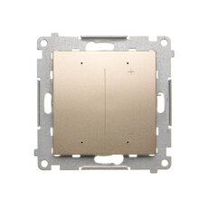 Stmívač pro LED pásky 12-24 V [Wi-Fi] :3028 zlatá matná, metalizovaná