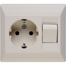 190301006 Earthed socket outlet with swi