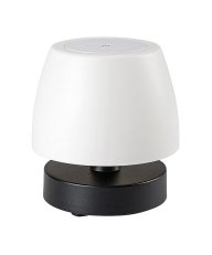 ODERA LED 3W IP44 černá RABALUX 7040