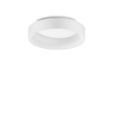 Stropní svítidlo Ziggy pl d045 IDEAL LUX 293783