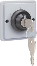 Hydro ŠEDÉ - klíčový spínač 16 A (bez krabice) NIKO 700-38800
