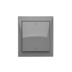 Spínač dvoupólový (přístroj s krytem), I