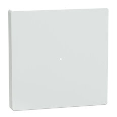 MEG5210-6035 Klapka pro tlač. modul 1nás